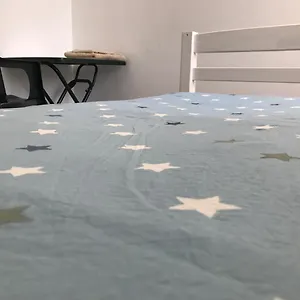 Séjour chez l'habitant N 3 En Face De La Gare Petite, Roanne